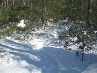  2013-02-10 13.47.06.JPG 